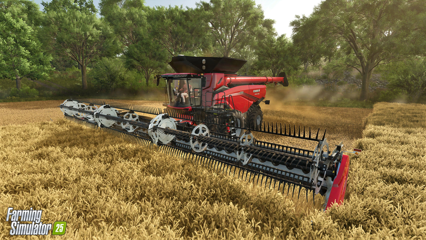 Farming Simulator 25 - PC